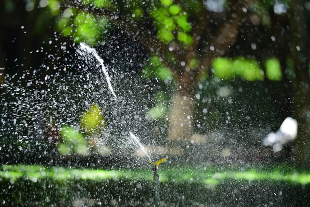 A garden sprinkler throwing a fan of backlit water droplets across a strip of bright green lawn