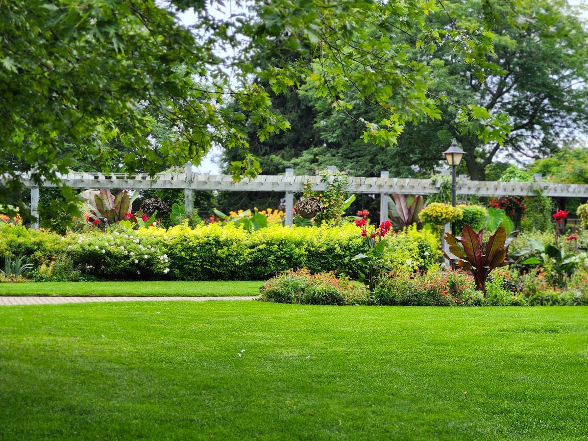 Manicured lawn edged with a brick mowing strip, backed by a chartreuse clipped hedge and beds of cannas, coleus and orange annuals